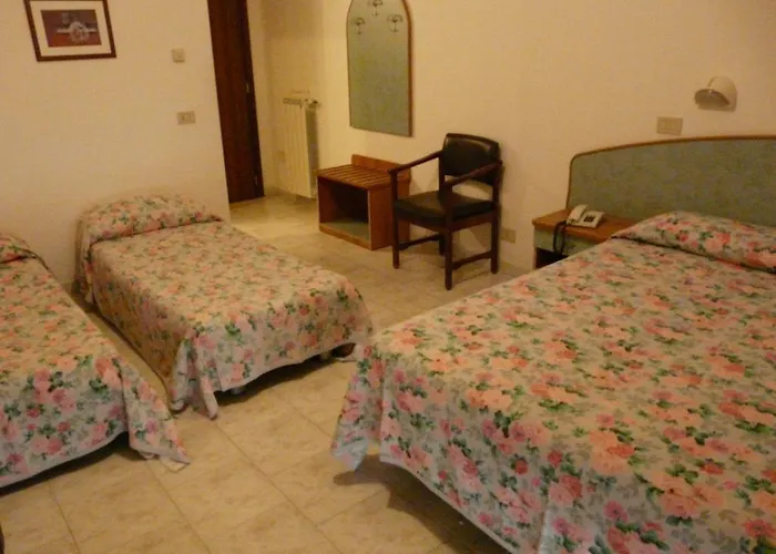 Hotel Vecchia Rimini 3*