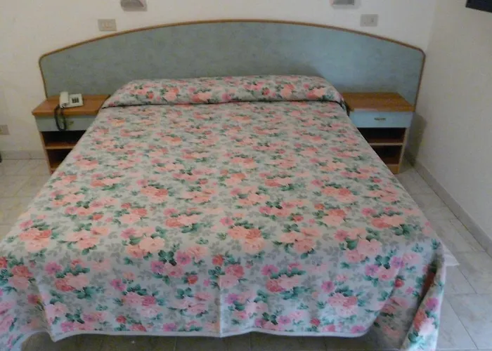 Hotel Vecchia Rimini 3*