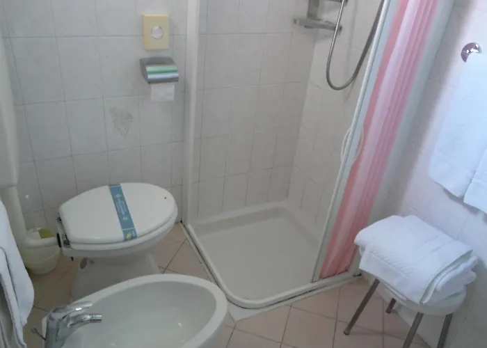 מלון Vecchia Rimini 3*