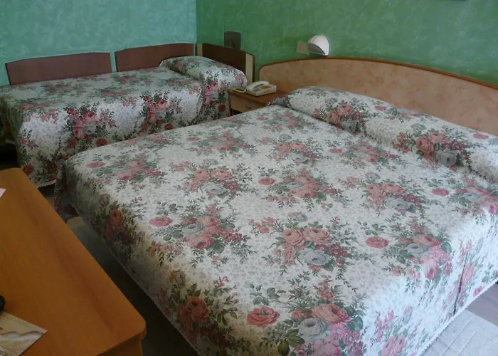 Hotel Vecchia Rimini 3*